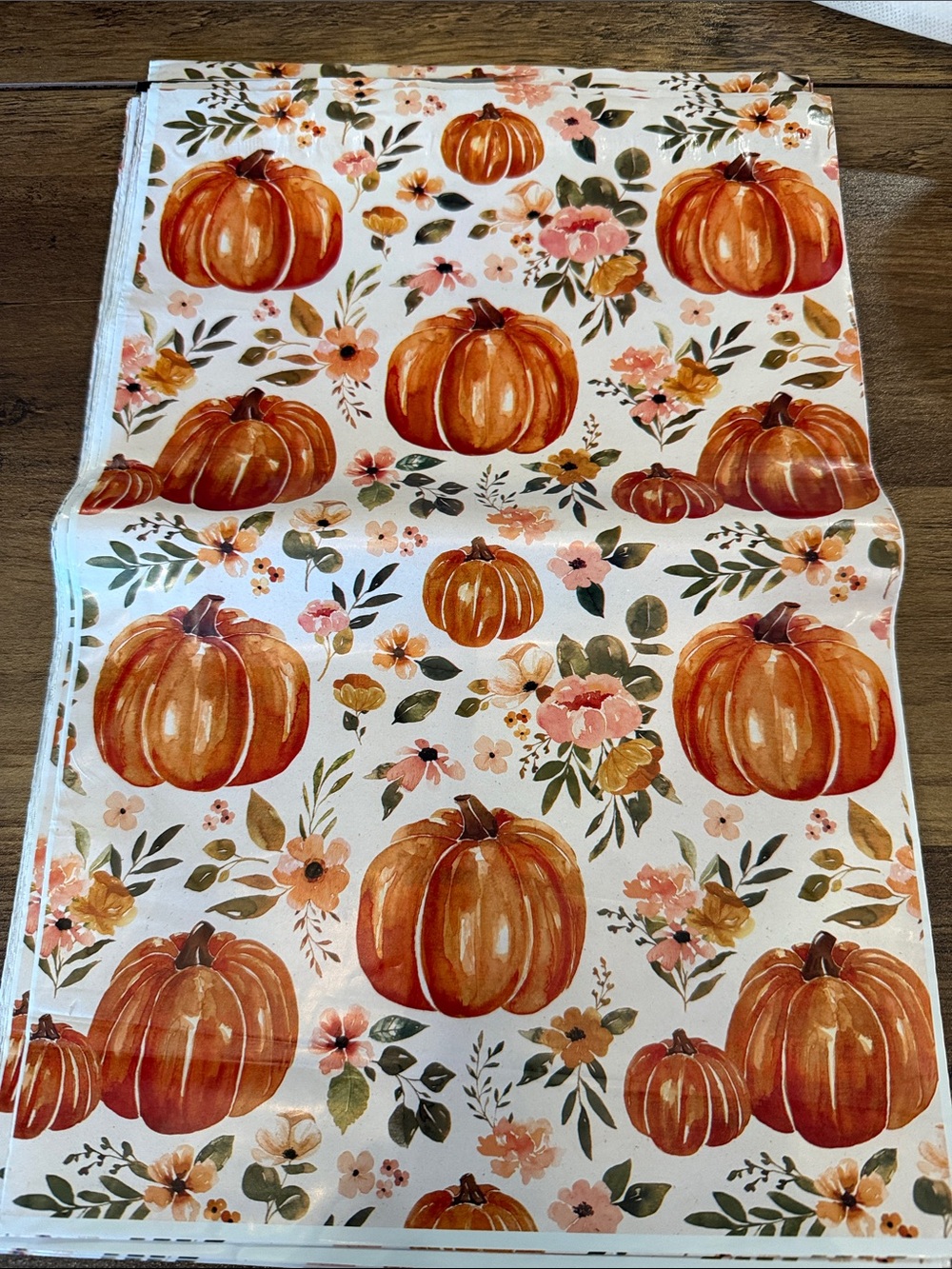 Autumn Pumpkin 10x13 Polymailer qty 20